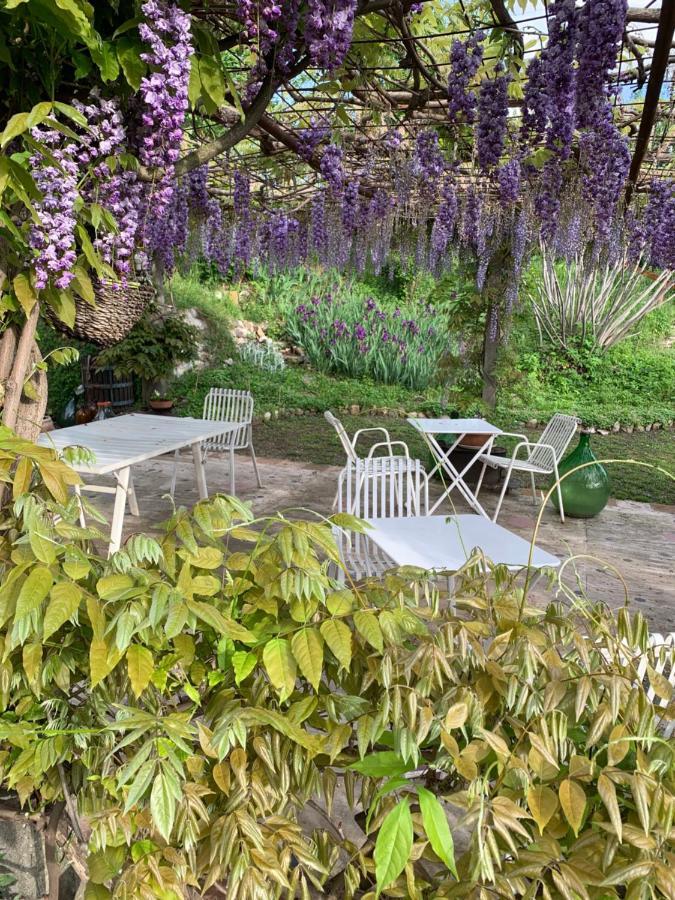 Bed and Breakfast R&B Mulino Marsa CastellʼArquato Zewnętrze zdjęcie