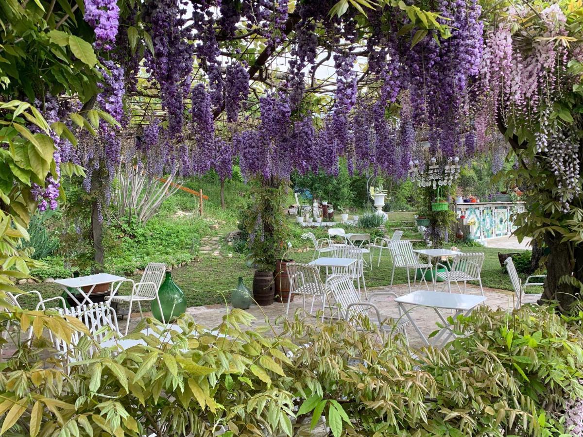 Bed and Breakfast R&B Mulino Marsa CastellʼArquato Zewnętrze zdjęcie